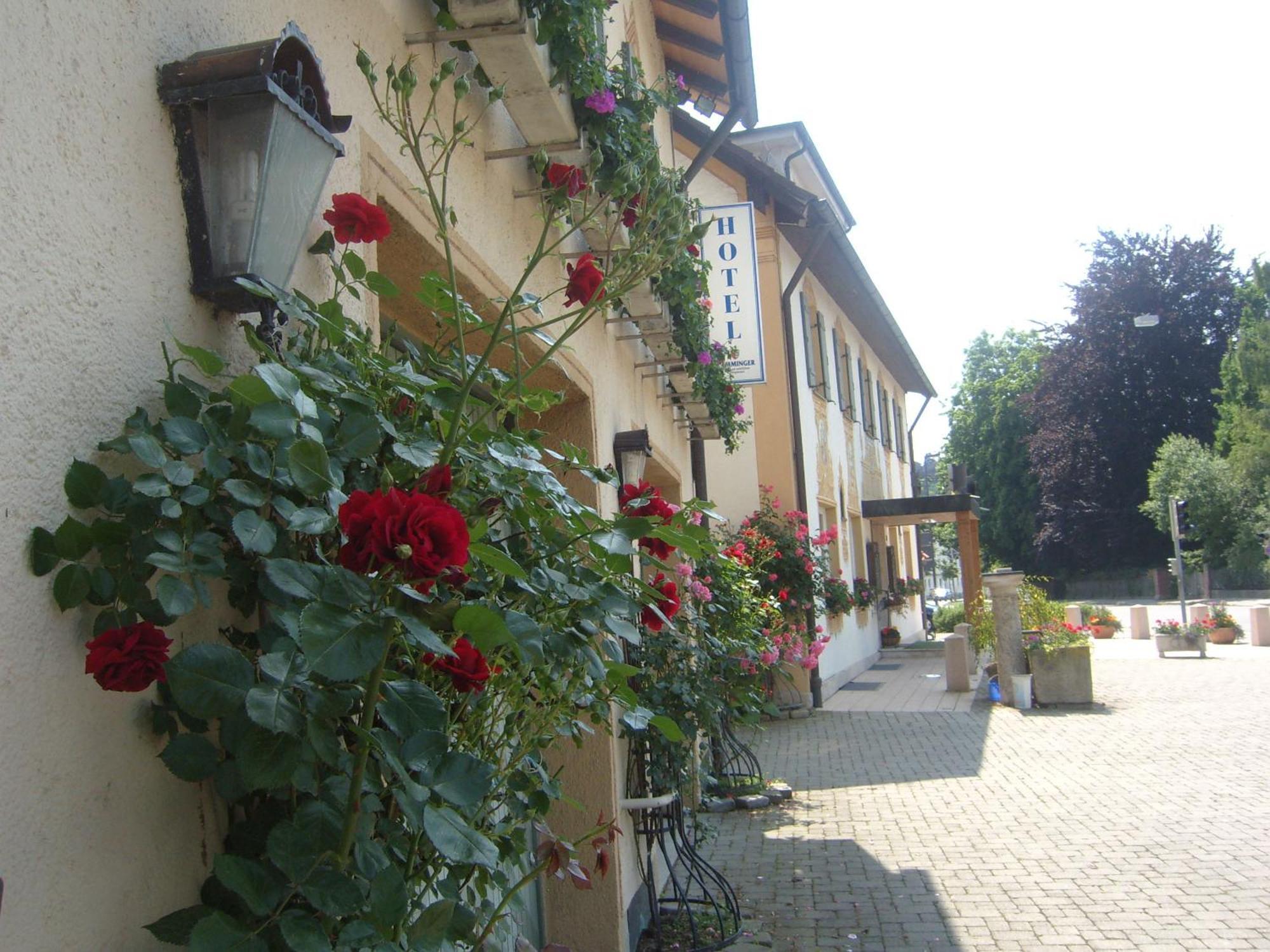 Hotel Gasthof Stern Міндельгайм Екстер'єр фото